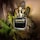 Scandal Pour Homme Le Parfum -  Notes de Géranium, Fève Tonka, Bois de Santal
