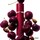 Privaté Blend Lost Cherry - Eau de parfum