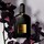 Black Orchid - Eau de parfum