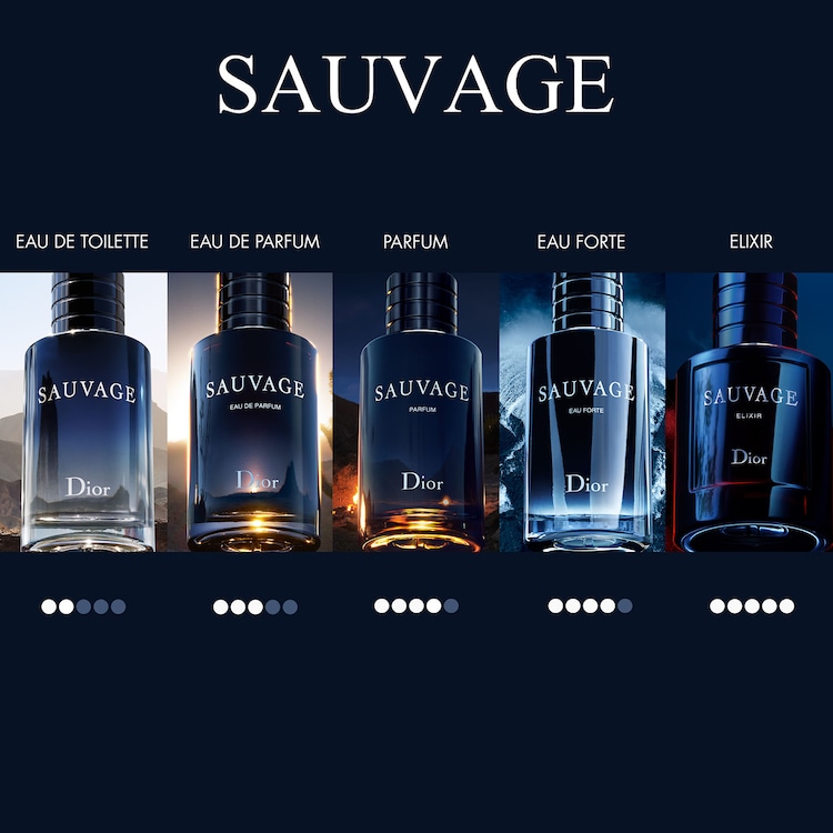 Sauvage Elixir - Parfum pour homme 